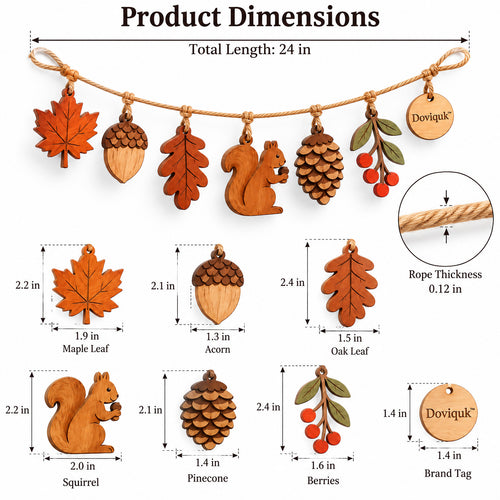 Size and measurements diagram